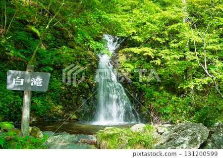 Shirataki waterfalls flowing along the Nikko Momiji Line in Nikko City, Tochigi Prefecture 131200599