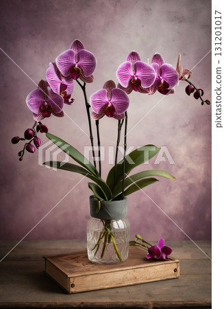 Delicate purple orchids stand tall in a rustic jar, their vibrant petals complementing a softly blurred background that enhances their elegance and charm Generative AI 131201017