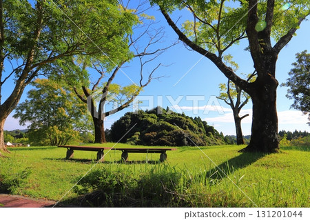 公園長椅,草坪,樹木,藍天 公園長椅,草坪,樹木,藍天 131201044
