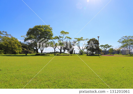 Park, lawn, trees, blue sky Park, lawn, trees, blue sky 131201061