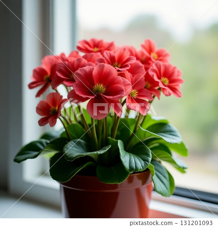 Lush pink flowers with broad green leaves flourish in a terracotta pot on a windowsill, basking in natural light and bringing life to the indoor space Generative AI Lush pink flowers with broad green leaves flourish in a terracotta pot on a windowsill, basking in natural light and bringing life to the indoor space Generative AI 131201093