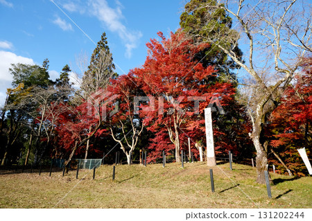 愛知縣新城市長篠城遺址4號，2024年12月 131202244