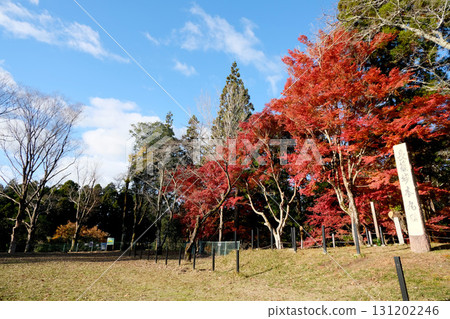 愛知縣新城市長篠城遺址5號,2024年12月 愛知縣新城市長篠城遺址5號,2024年12月 131202246