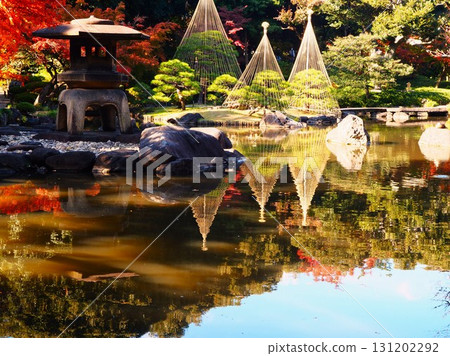 舊古川庭園真字池的燈籠和雪掛的深秋景色 131202292