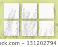 Natural light casts shadows from the field grass on 6 square sheets of white paper lying on a green background. Mockup 131202794