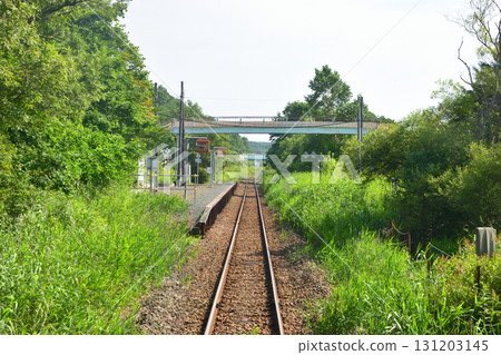 JR北海道釧網本線，釧路站與釧路濕原站之間的景色（2023年夏季） 131203145