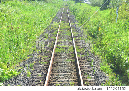 JR Hokkaido's Senmo Main Line, a view between Kushiro Station and Kushiro-Shitsugen Station (Summer 2023) 131203162