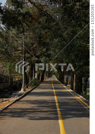 Bike lane on pedestrian path, surrounded by trees in city park. Bike lane on pedestrian path, surrounded by trees in city park. 131203165