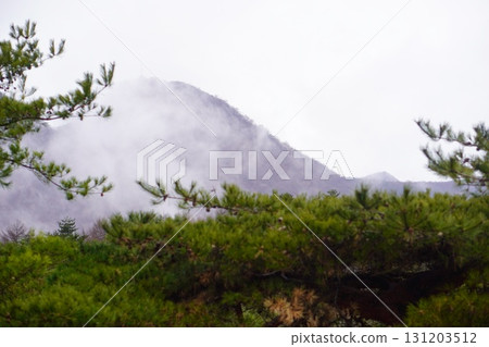A photo of a mysterious and fantastical natural landscape with a misty mountain ridge and green trees in the foreground A photo of a mysterious and fantastical natural landscape with a misty mountain ridge and green trees in the foreground 131203512