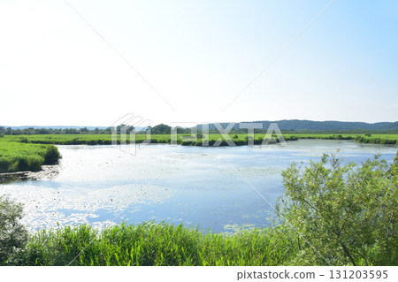JR北海道釧網本線釧路濕原站～茅沼站間（2023年夏季） 131203595