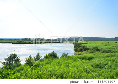 JR Hokkaido's Senmo Main Line, between Kushiro-Shitsugen Station and Kayanuma Station (Summer 2023) 131203597