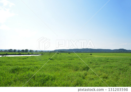 JR北海道釧網本線釧路濕原站~茅沼站間(2023年夏季) JR北海道釧網本線釧路濕原站~茅沼站間(2023年夏季) 131203598