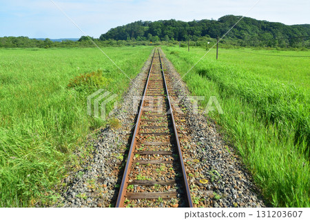 JR北海道釧網本線釧路濕原站~茅沼站間(2023年夏季) JR北海道釧網本線釧路濕原站~茅沼站間(2023年夏季) 131203607