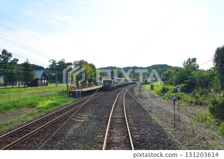 JR Hokkaido's Senmo Main Line, between Kushiro-Shitsugen Station and Kayanuma Station (Summer 2023) JR Hokkaido's Senmo Main Line, between Kushiro-Shitsugen Station and Kayanuma Station (Summer 2023) 131203614