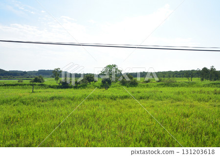 JR Hokkaido's Senmo Main Line, between Kushiro-Shitsugen Station and Kayanuma Station (Summer 2023) 131203618