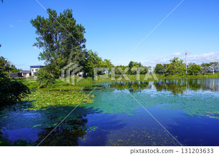 眺望Herabu廣場背後的沼澤（岩見澤市北村北村中央公園） 131203633