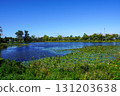 A look at the swamp at the back of the Herabu Square (Kitamura Central Park, Kitamura, Iwamizawa City) 131203638