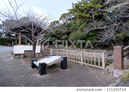 愛知縣田原市_田原城遺址_2024年12月 131203724