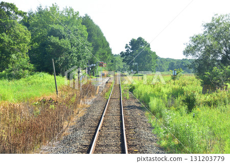 JR Hokkaido's Senmo Main Line, between Kayanuma Station and Isobunnai Station (Summer 2023) JR Hokkaido's Senmo Main Line, between Kayanuma Station and Isobunnai Station (Summer 2023) 131203779