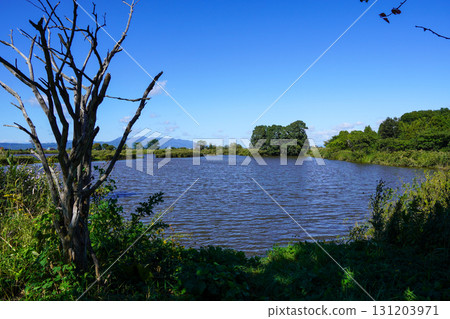眺望Herabu廣場背後的沼澤（岩見澤市北村北村中央公園） 131203971