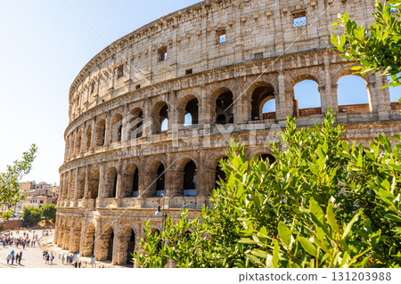 Colosseum Rome Italy 131203988