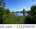 A look at the swamp at the back of the Herabu Square (Kitamura Central Park, Kitamura, Iwamizawa City) 131204030
