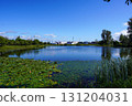A look at the swamp at the back of the Herabu Square (Kitamura Central Park, Kitamura, Iwamizawa City) 131204031