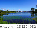 A look at the swamp at the back of the Herabu Square (Kitamura Central Park, Kitamura, Iwamizawa City) 131204032