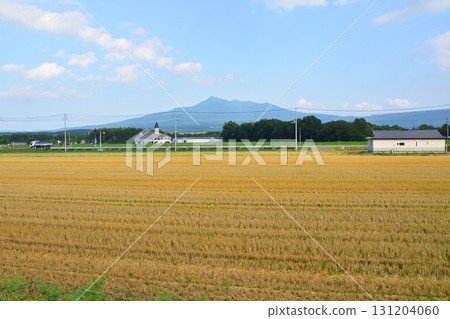 JR Hokkaido, Senmo Main Line, scenery between Kawayu Onsen Station and Kiyosatocho Station (Summer 2023) 131204060