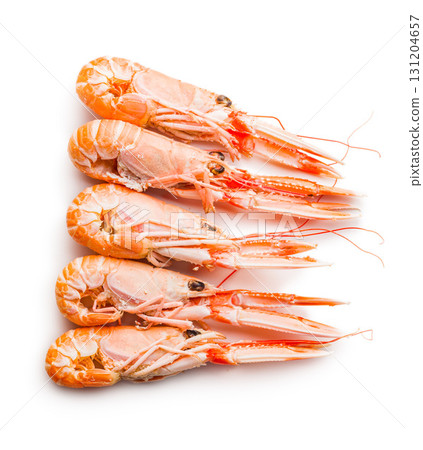 Scampi langoustine isolated on white background. 131204657