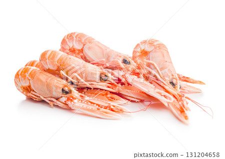 Scampi langoustine isolated on white background. Scampi langoustine isolated on white background. 131204658
