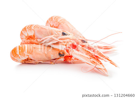 Scampi langoustine isolated on white background. Scampi langoustine isolated on white background. 131204660