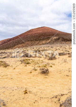 Dramatic landscape view of La Graciosa island, showcasing the terrain with a volcanic hill. The foreground features arid sand and low-lying vegetation under a cloudy sky. 131205909
