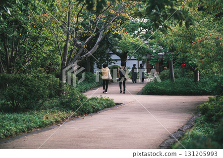 【姬路城舊西洋庭園好古園】漫步於日式庭園的人們 【姬路城舊西洋庭園好古園】漫步於日式庭園的人們 131205993