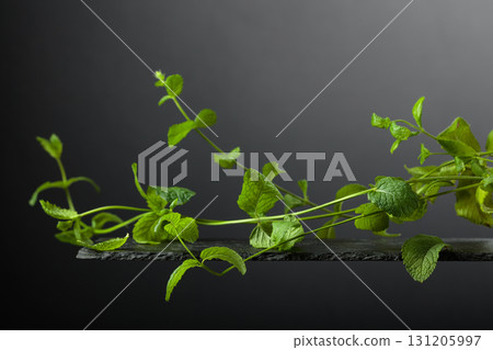 Sprigs of mint on a black background. 131205997