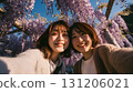 Women enjoying cherry blossom viewing 131206021