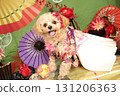 New Year's card material: Chihuahua and Poodle in a kimono 131206363
