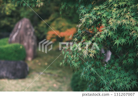 [Kokoen Garden, the former western mansion of Himeji Castle] Lush autumn leaves 131207007