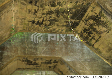 熊本縣三鄉町八角隧道 131207034