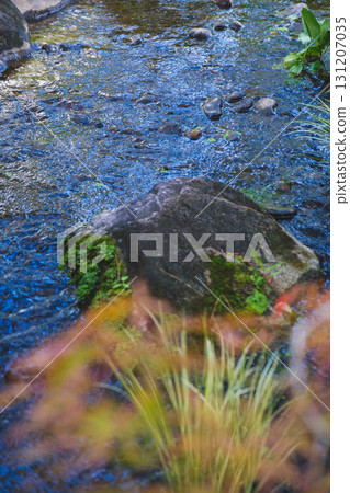 [Kokoen Garden, the former western mansion garden of Himeji Castle] A beautiful stream 131207035