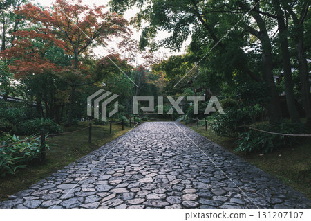 [Kokoen Garden, the former western mansion of Himeji Castle] Beautiful scenery of a Japanese garden 131207107