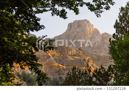 Early Morning Summer Alpine Mountain Landscape 131207226