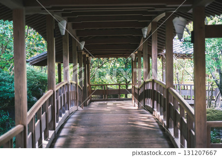 [Kokoen Garden, the former western mansion of Himeji Castle] A walkway through a traditional Japanese mansion 131207667