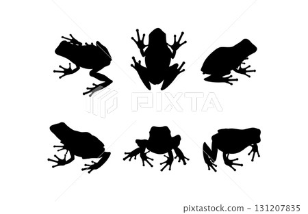 Set of black vector frog silhouettes isolated on white background. Collection of poisonous amphibians with slender long legs in various poses, shown in front, back, side, and top views 131207835