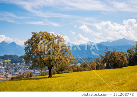 Beautiful landscape of swiss Alps. Lonely autumn tree against town with mountain on the background. Town Luzern from mountain Pilatus Beautiful landscape of swiss Alps. Lonely autumn tree against town with mountain on the background. Town Luzern from mountain Pilatus 131208778