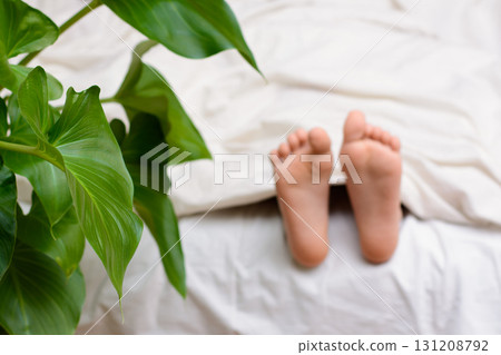 Big pot flower stands near the bed with sleeping little girl. Child`s bare feetsare visible from under the blanket 131208792