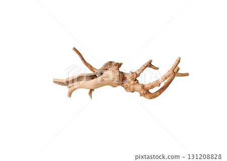Old dry driftwood tree branch on an isolated white background Old dry driftwood tree branch on an isolated white background 131208828
