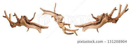 set old dry driftwood tree branch on an isolated white background 131208904