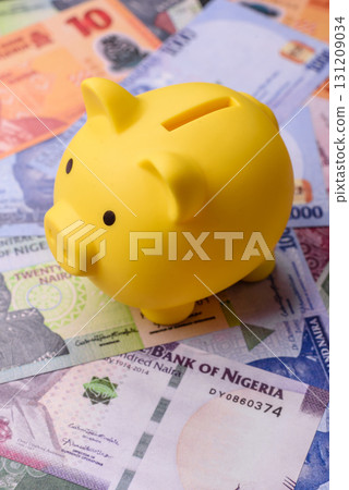 Nigeria money, naira, paper banknotes, cash. Nigerian money 131209034