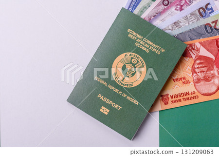 Nigerian International Citizen Passport for global business 131209063